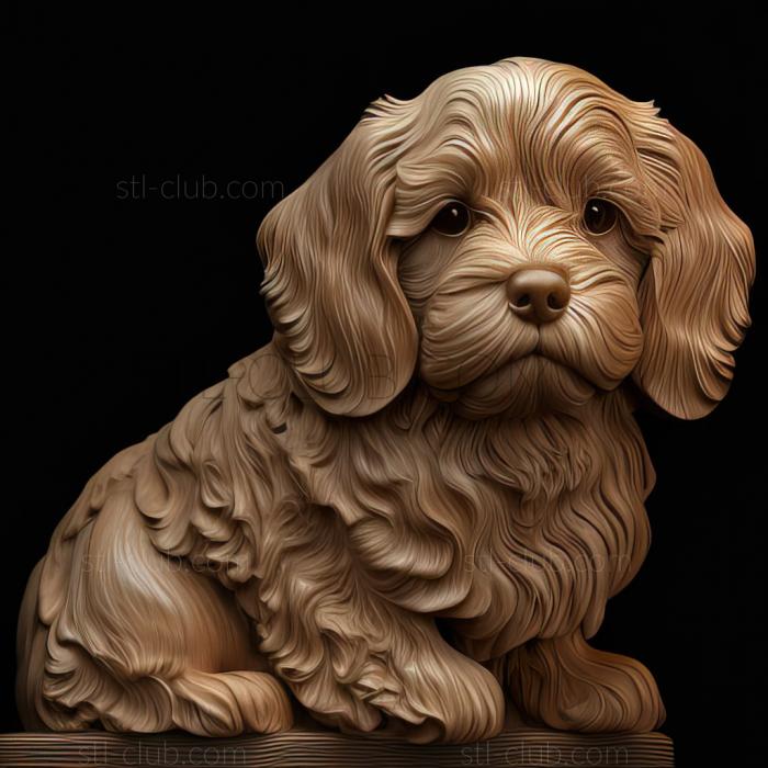 3D model st Bolognese dog (STL)